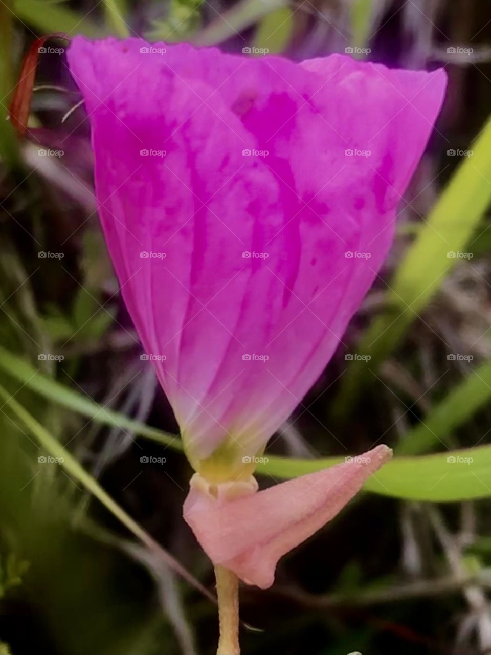 Pretty in pink!!! 💕