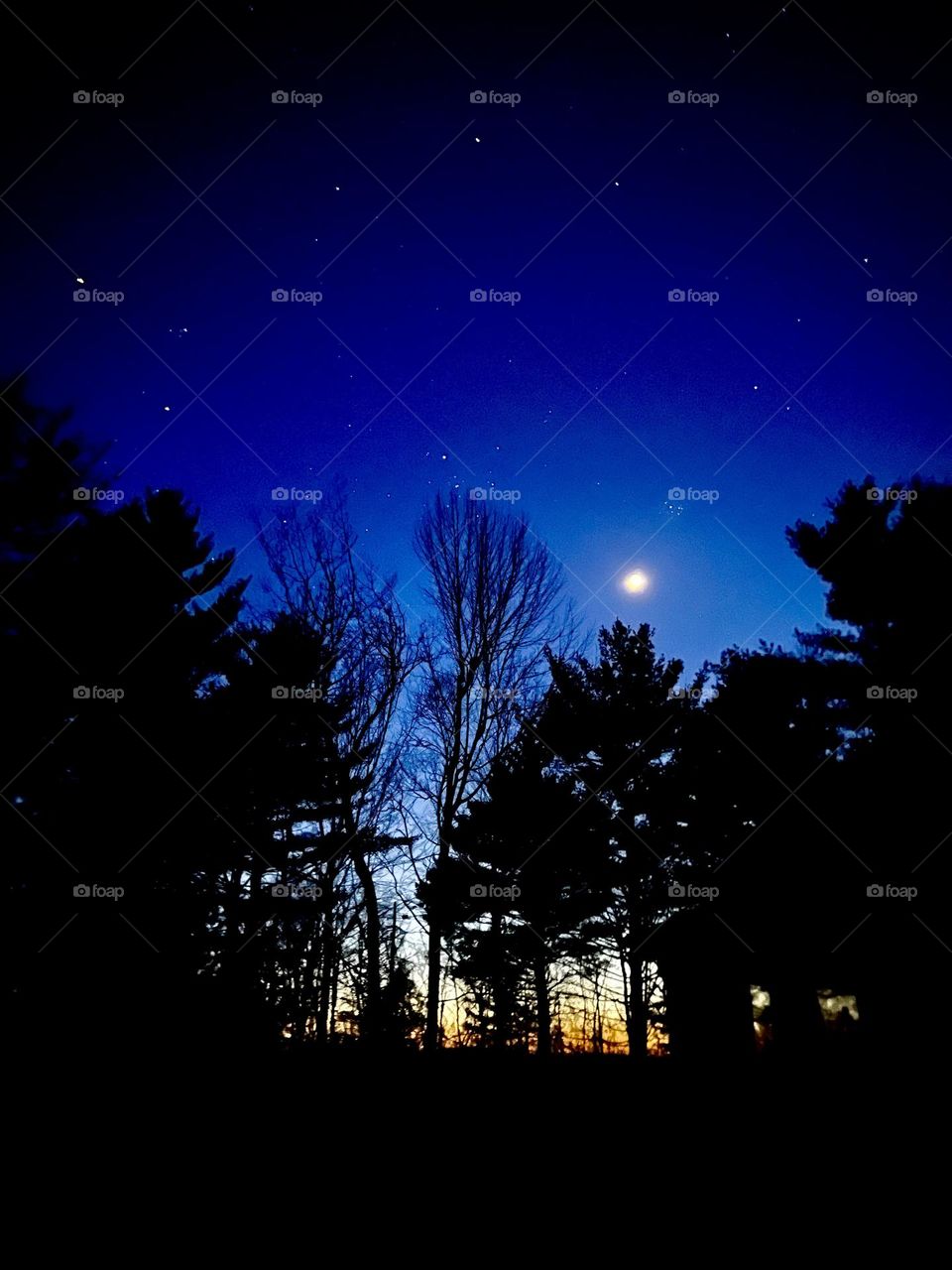 Early nightfall showcasing the last of a sunset alongside the moon and stars over the tree line.