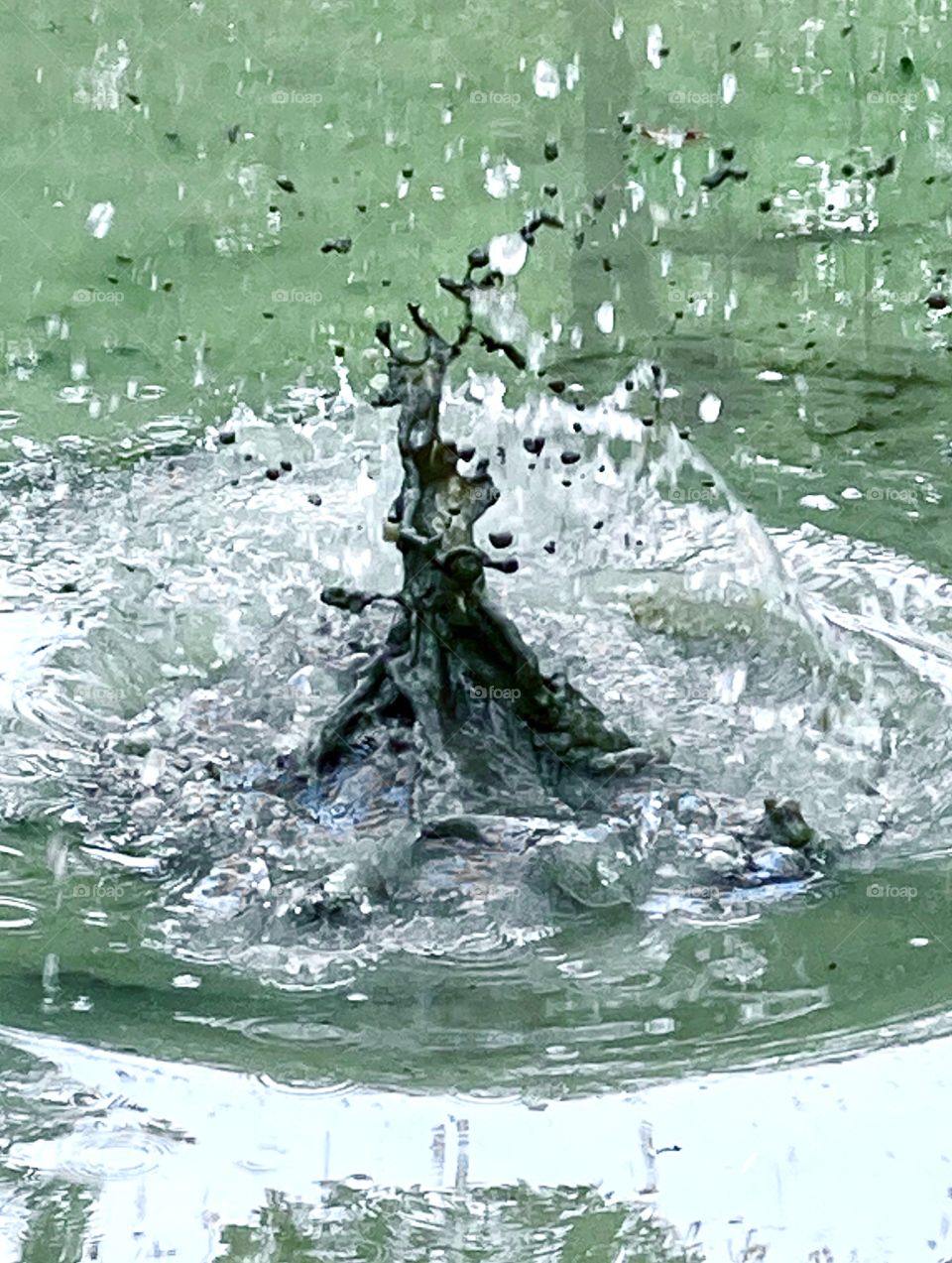 splashing water from a thrown stone