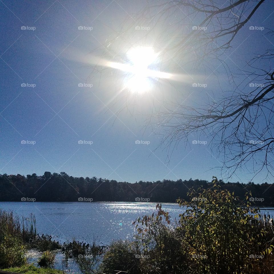 Lake, nature and sun