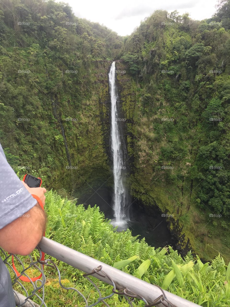 Akaka Falls.  Island of Hawaii 