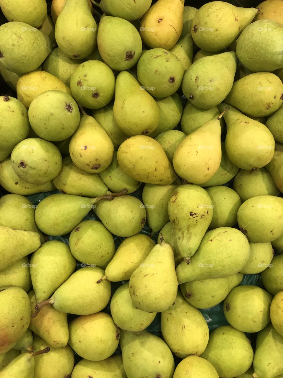 Fruits 