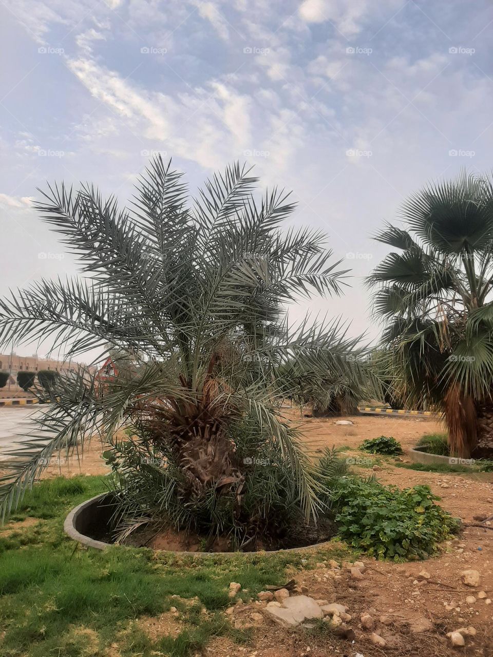 Please help me, I am very poor, I need your support and God is in need