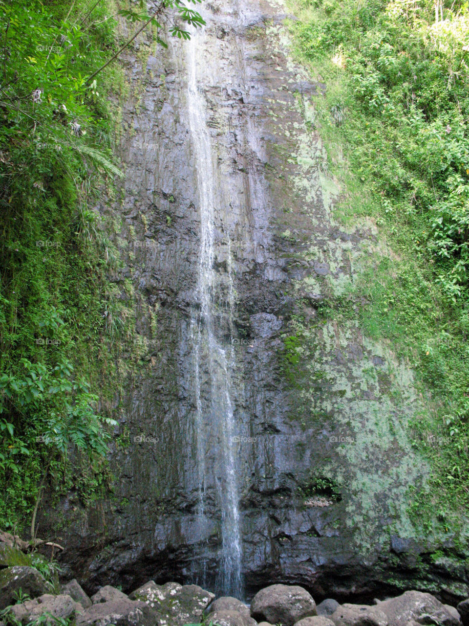 green trees waterfall rock by bethos
