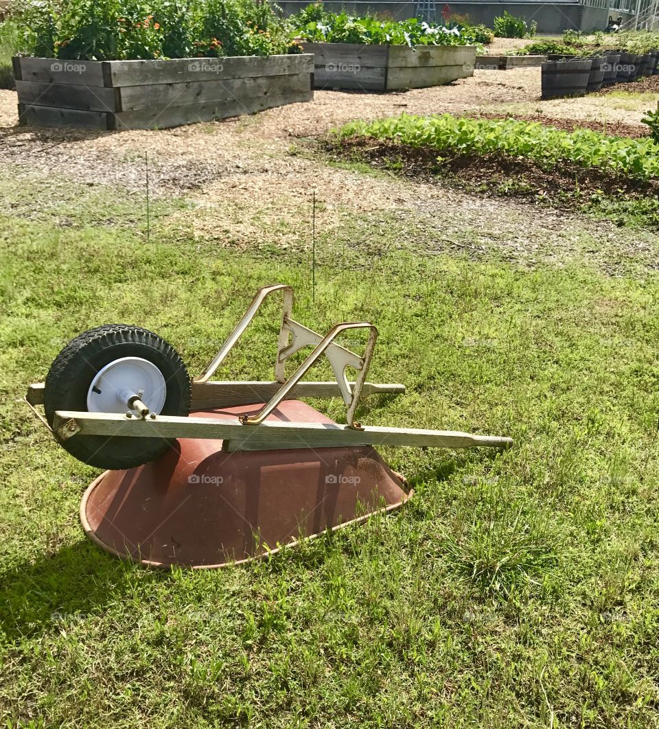 Wheelbarrow 