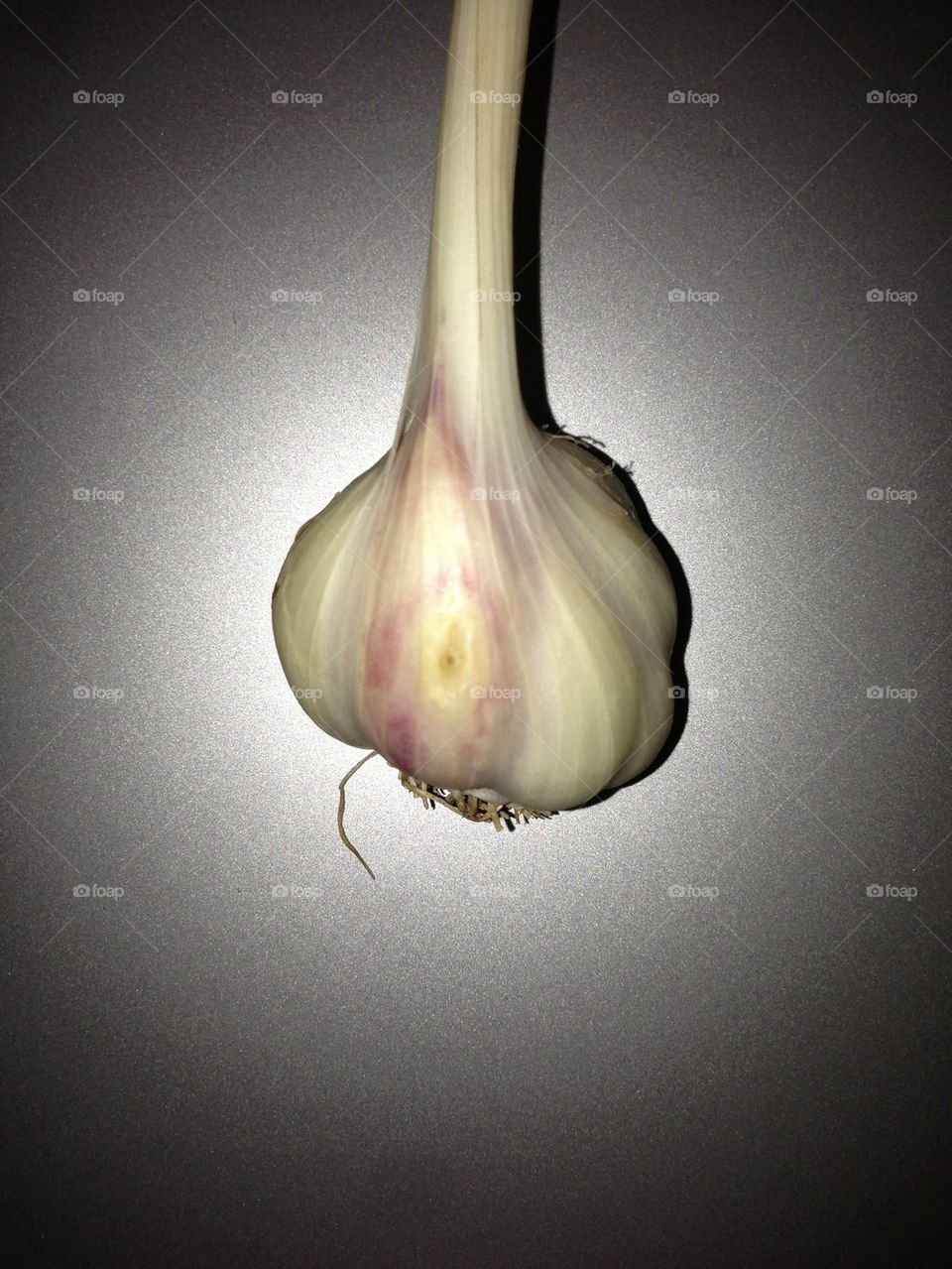 Garlic plant from the farm.