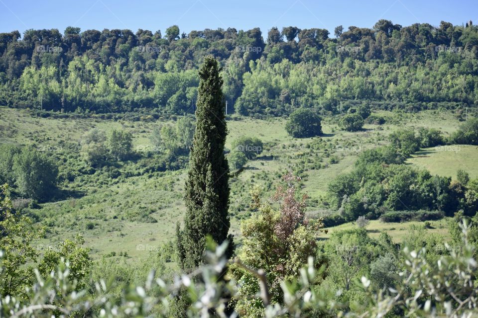 San Donato - Tuscany - Italy 