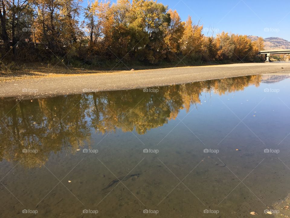 Beautiful reflection 