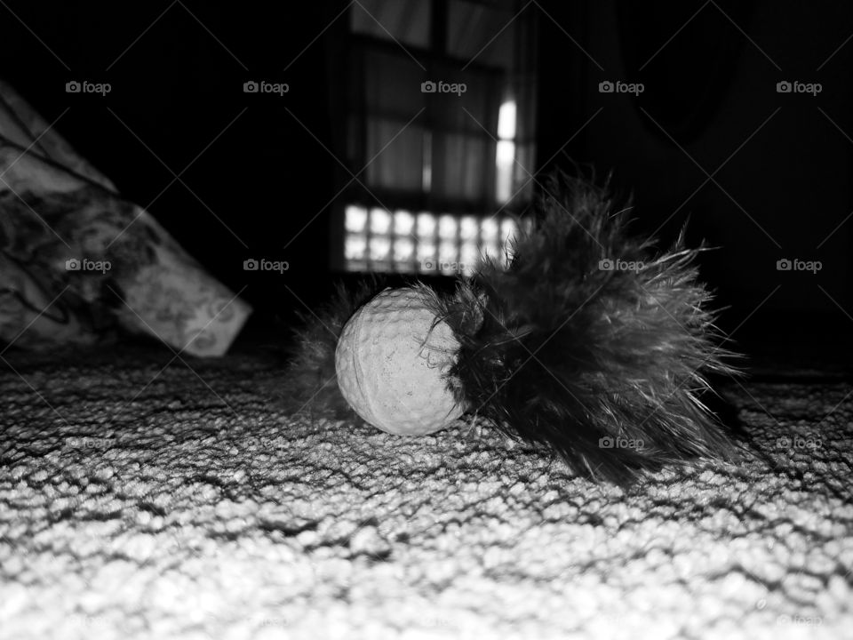 cat toy in black and white