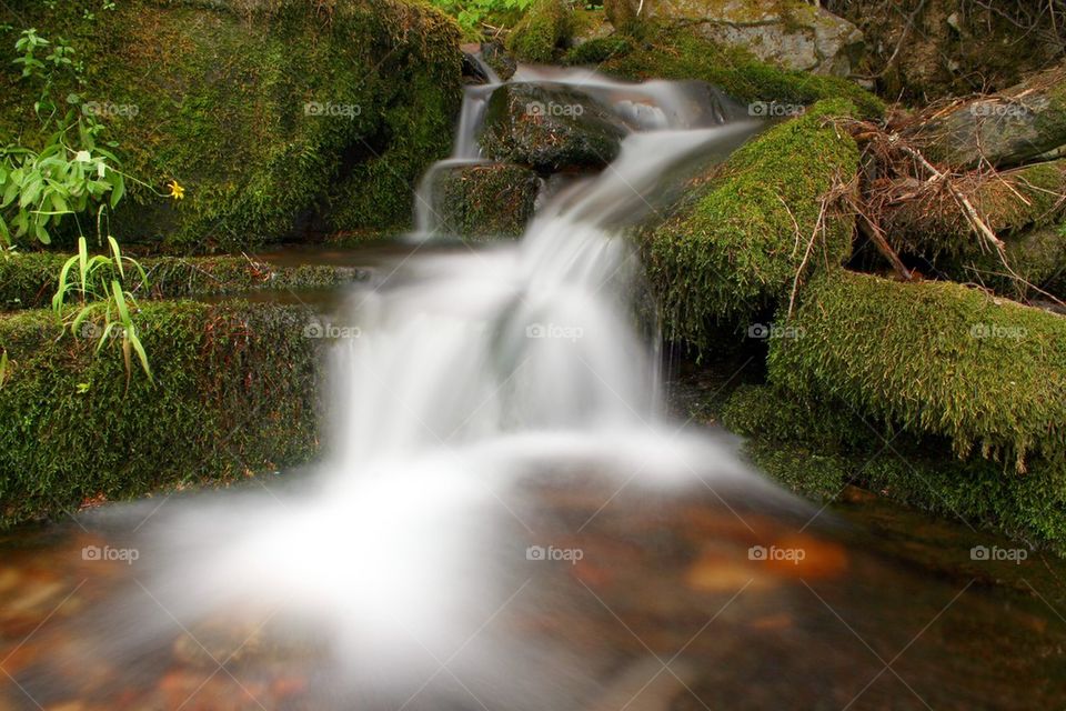 Small Beautiful Waterfall