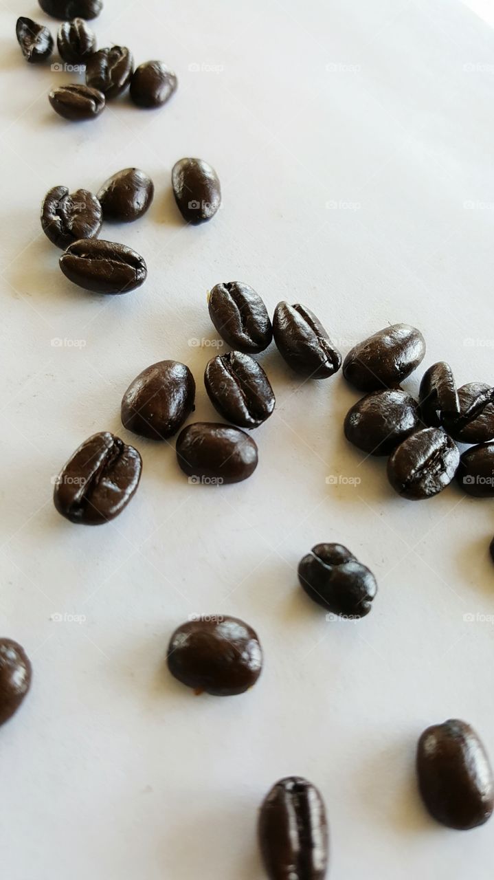 my favorite kind of bean...coffee