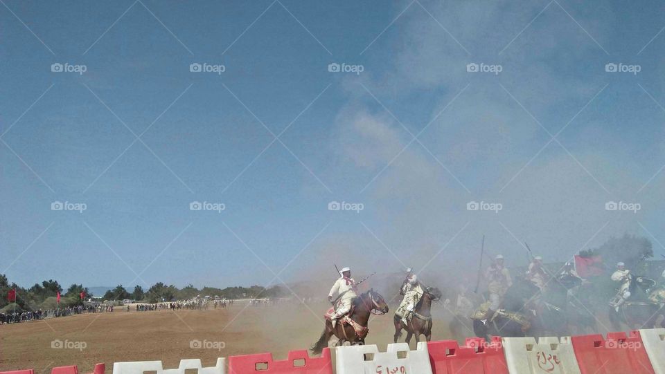 troop of cavalry racing.