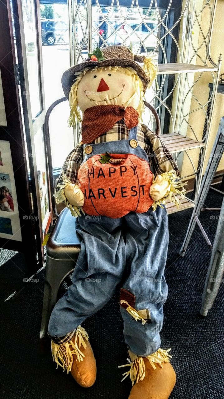 Happy Holidays, Fall Season