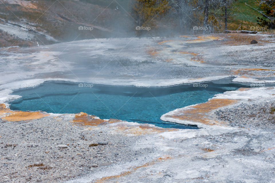 yellowstone's blue star spring
