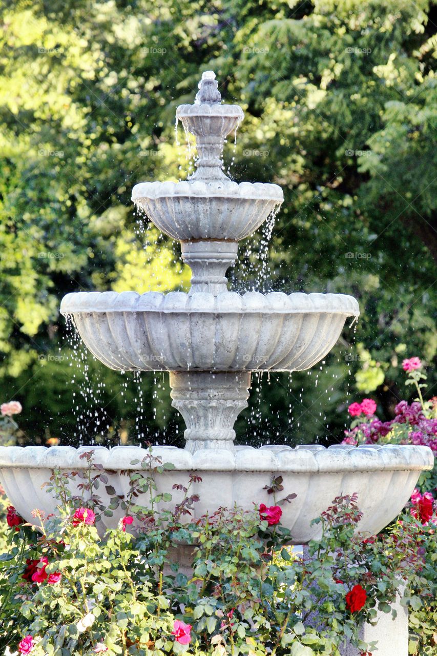 water fountain
walking about downtown Sacramento at the capital garden.
