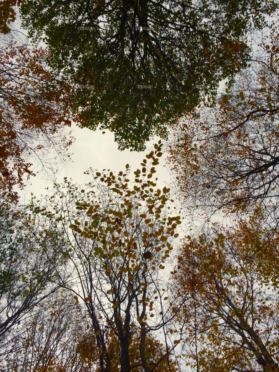 Autumn in Denmark 