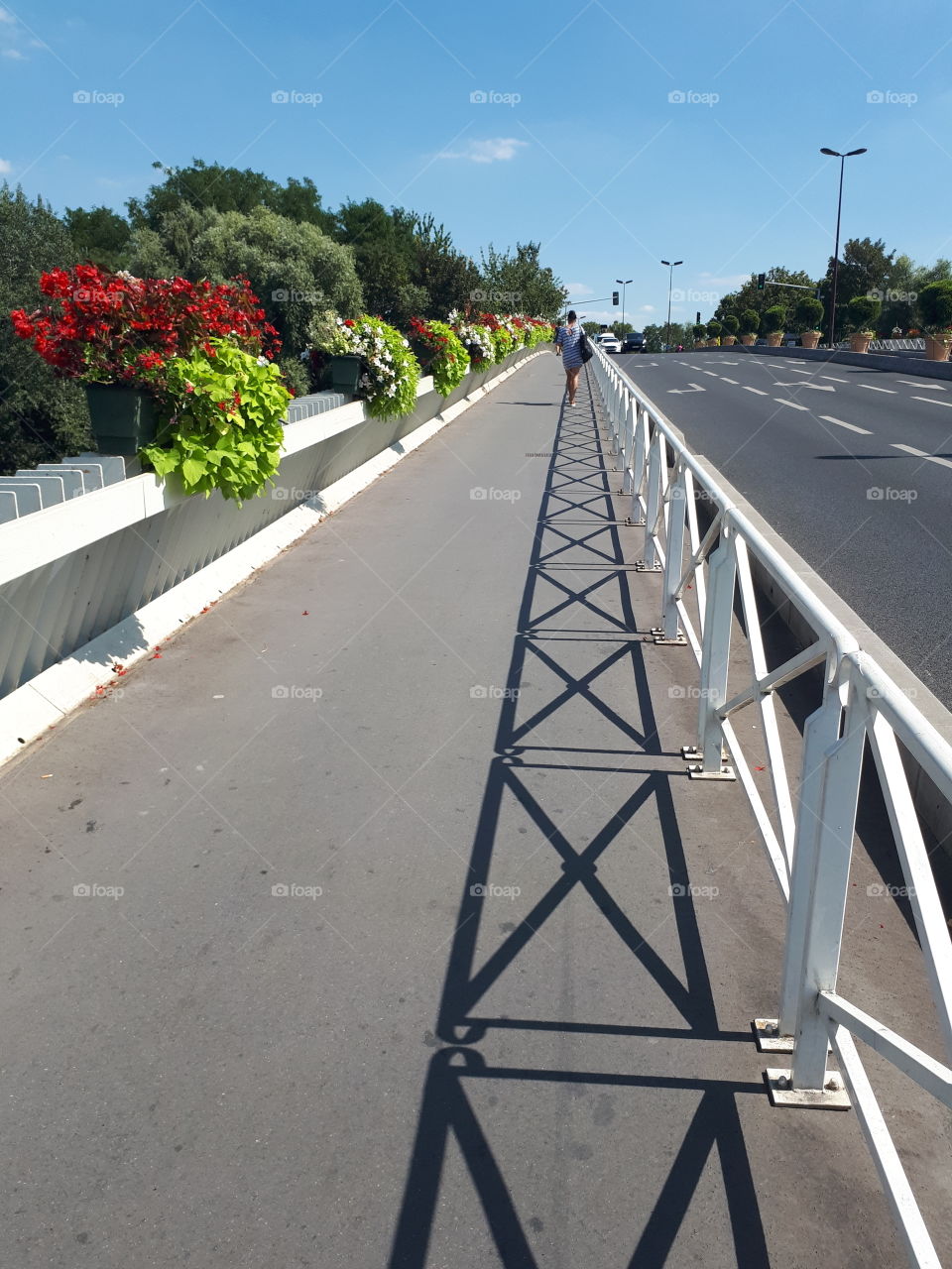 Bridge with white fence and flowers