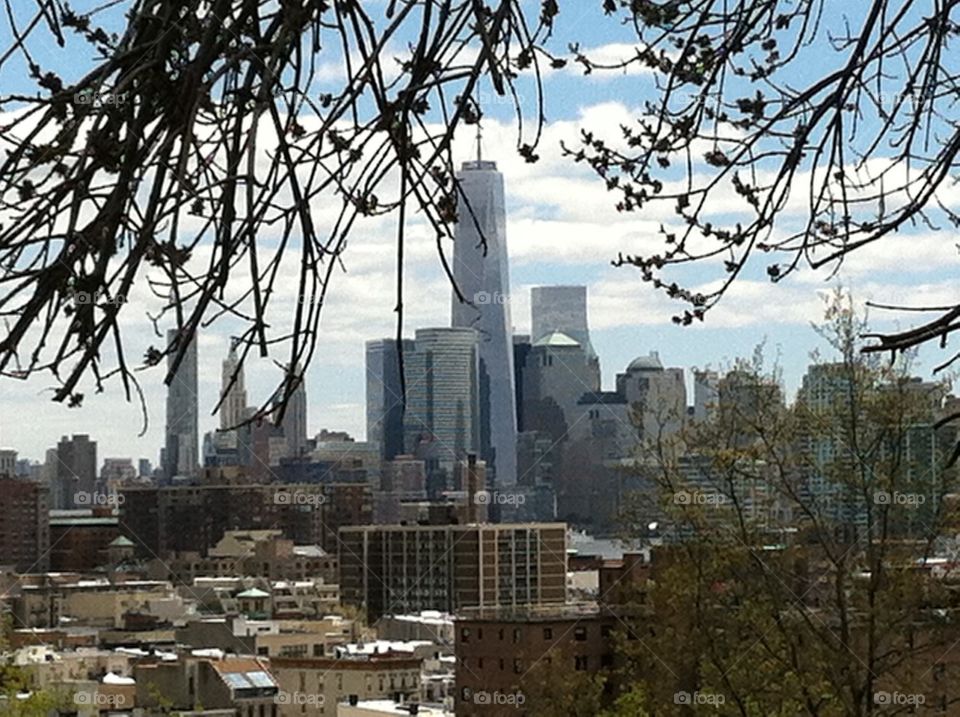 Manhattan new World Trade Center thru trees