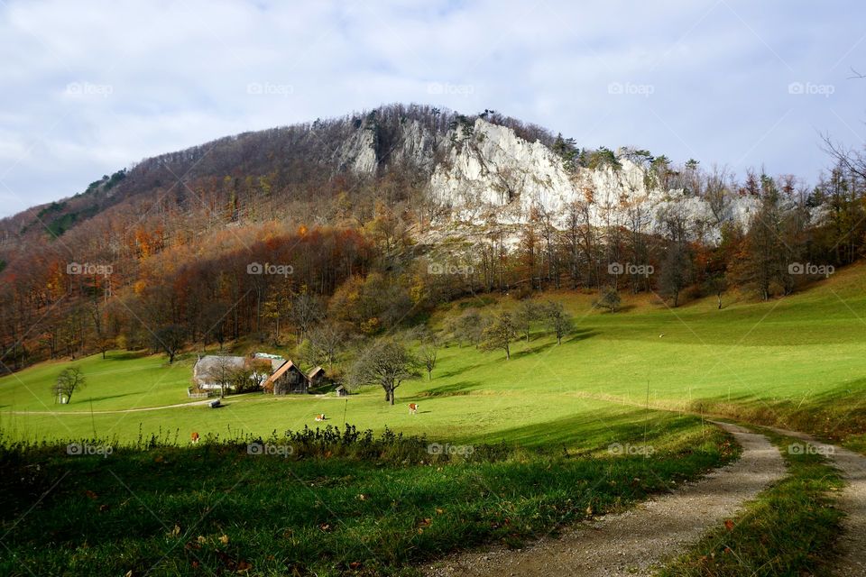 Gaisstein im Herbst
