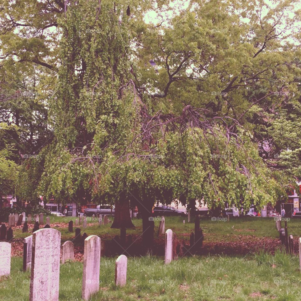 Graveyard in Brooklyn New York 