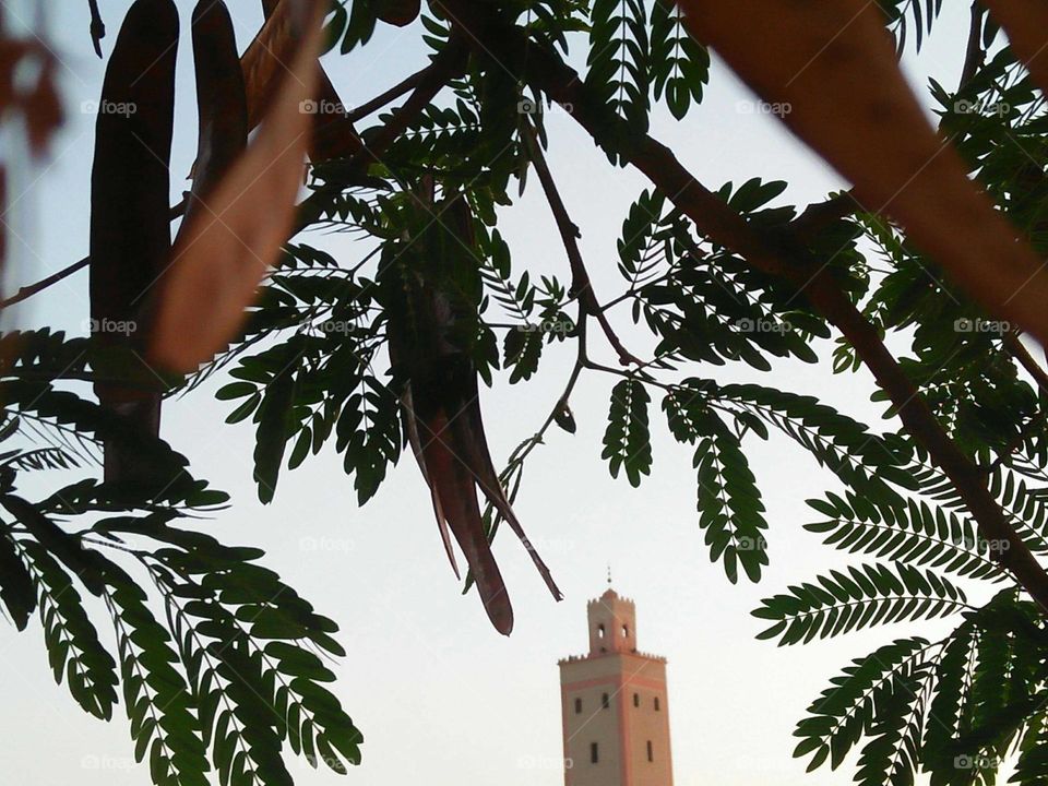 View to minaret mosque