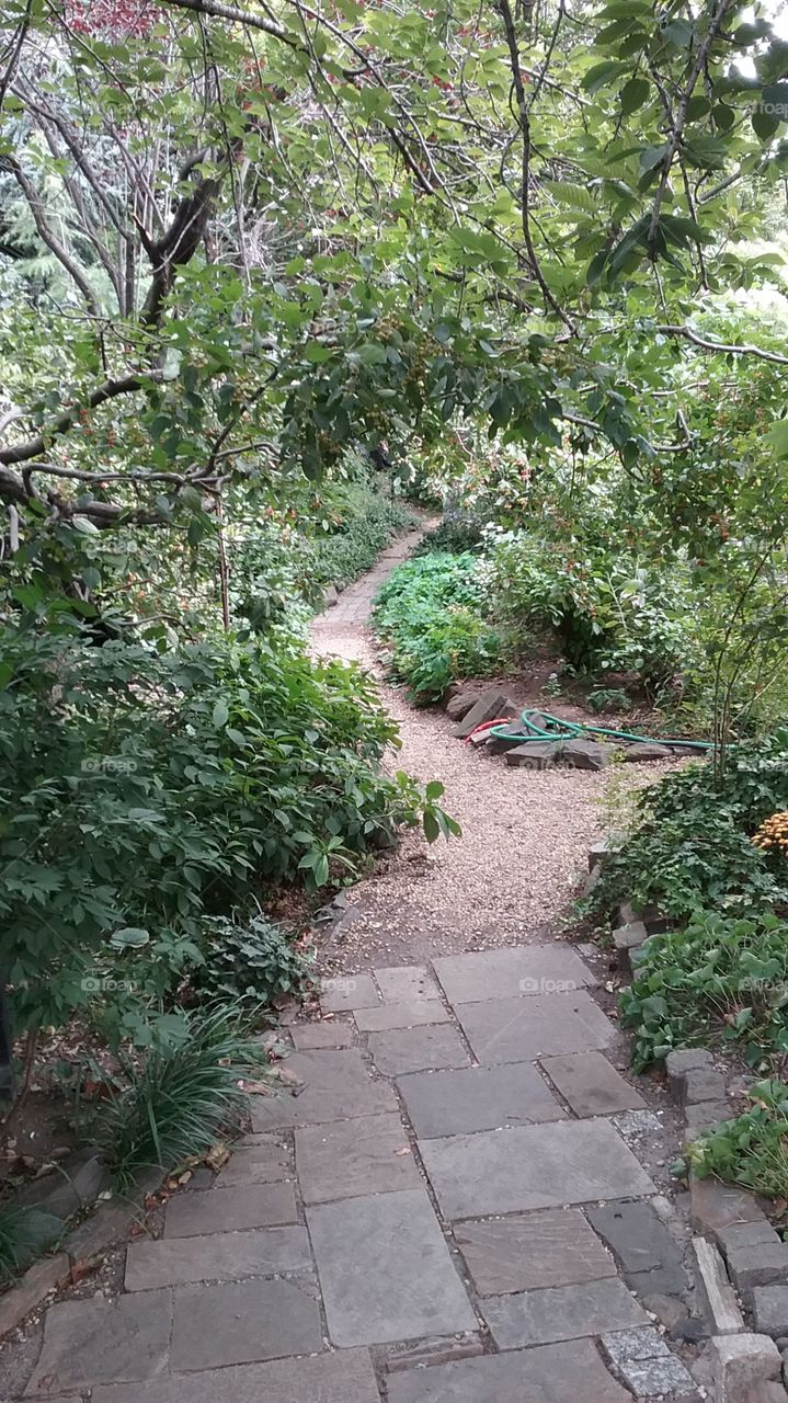 garden path