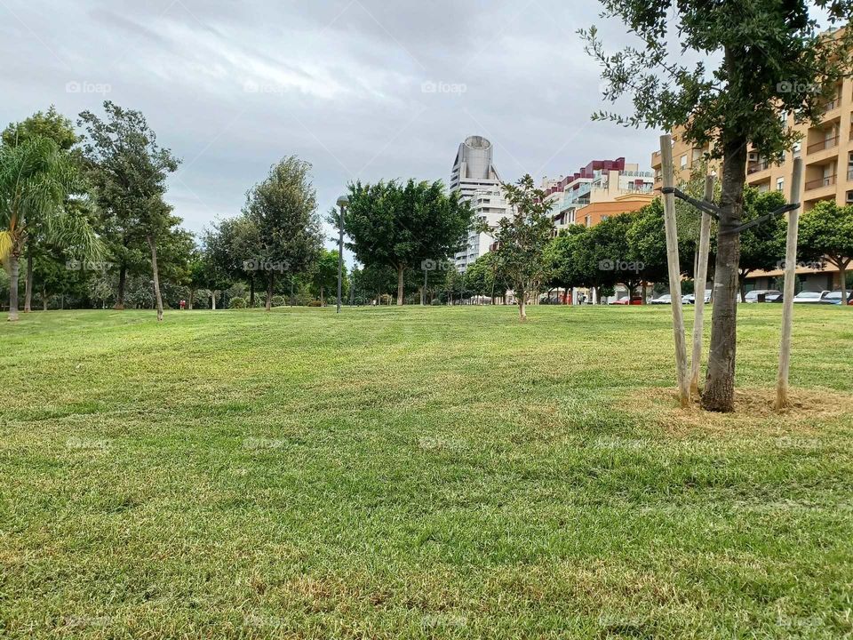 Parque
