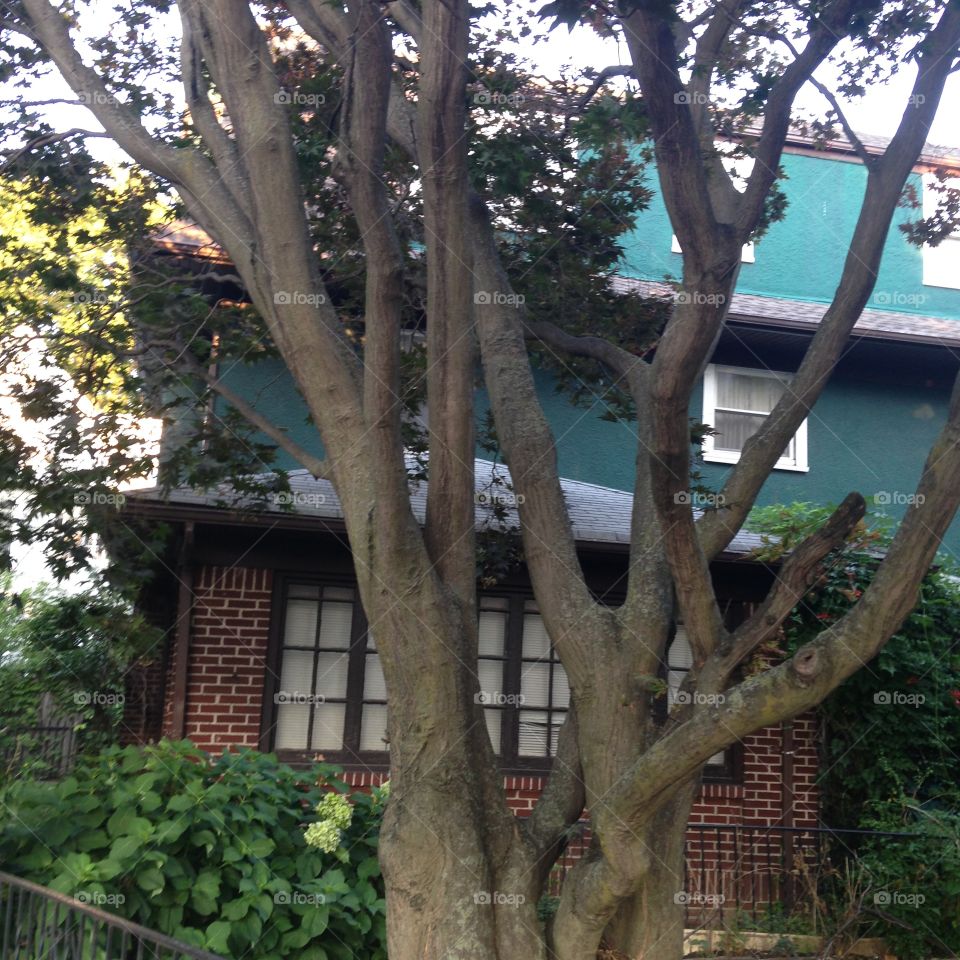 House on Foster Avenue. Historical district near Newkirk Plaza.