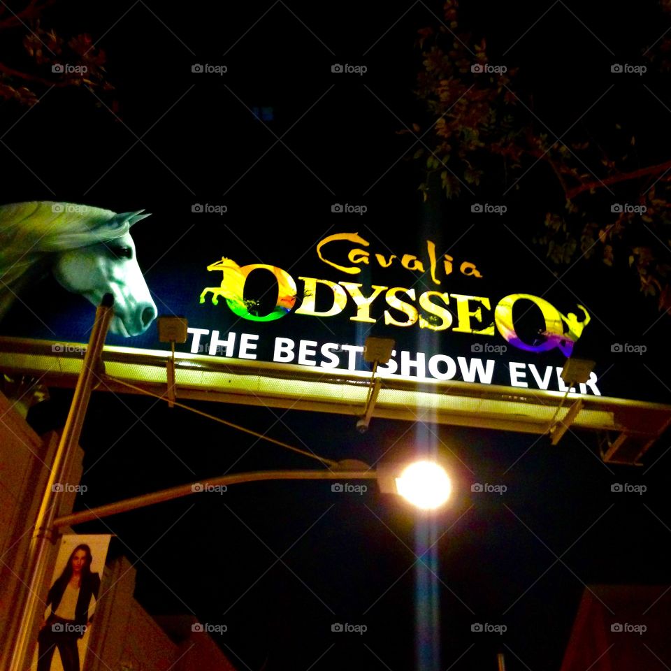 Odysseo 

Published by:
HappyBrownMonkey 