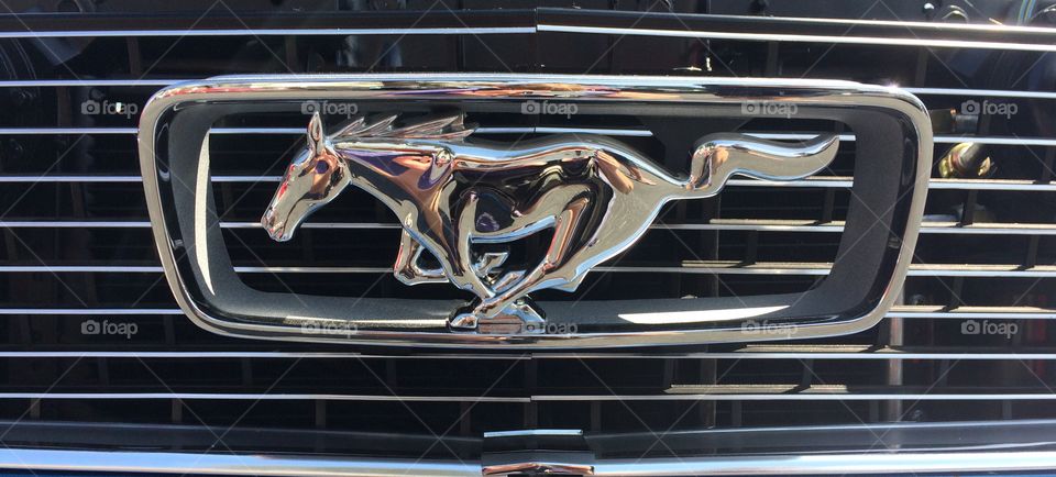 Mustang emblem 