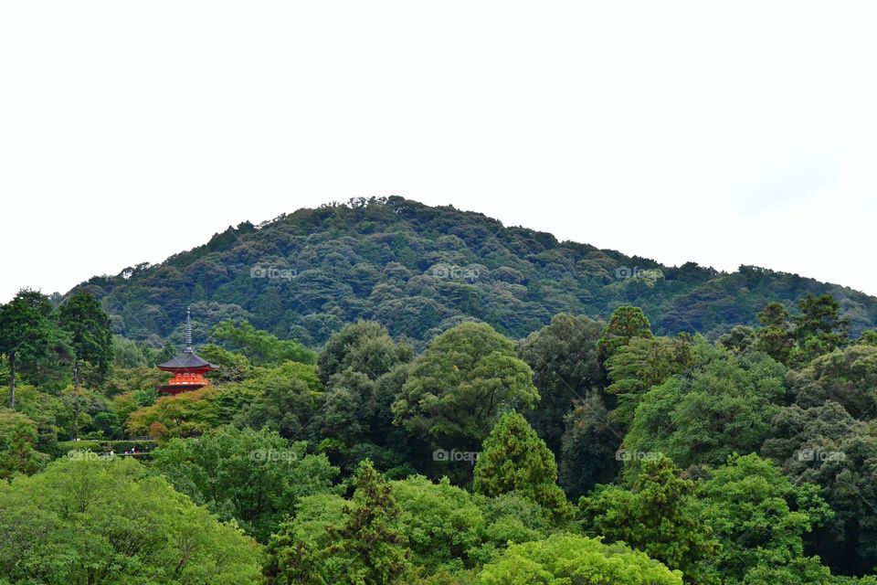 Japanese landscape