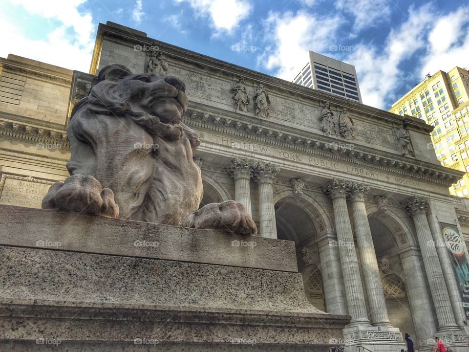 Patience at the New York Public Library
