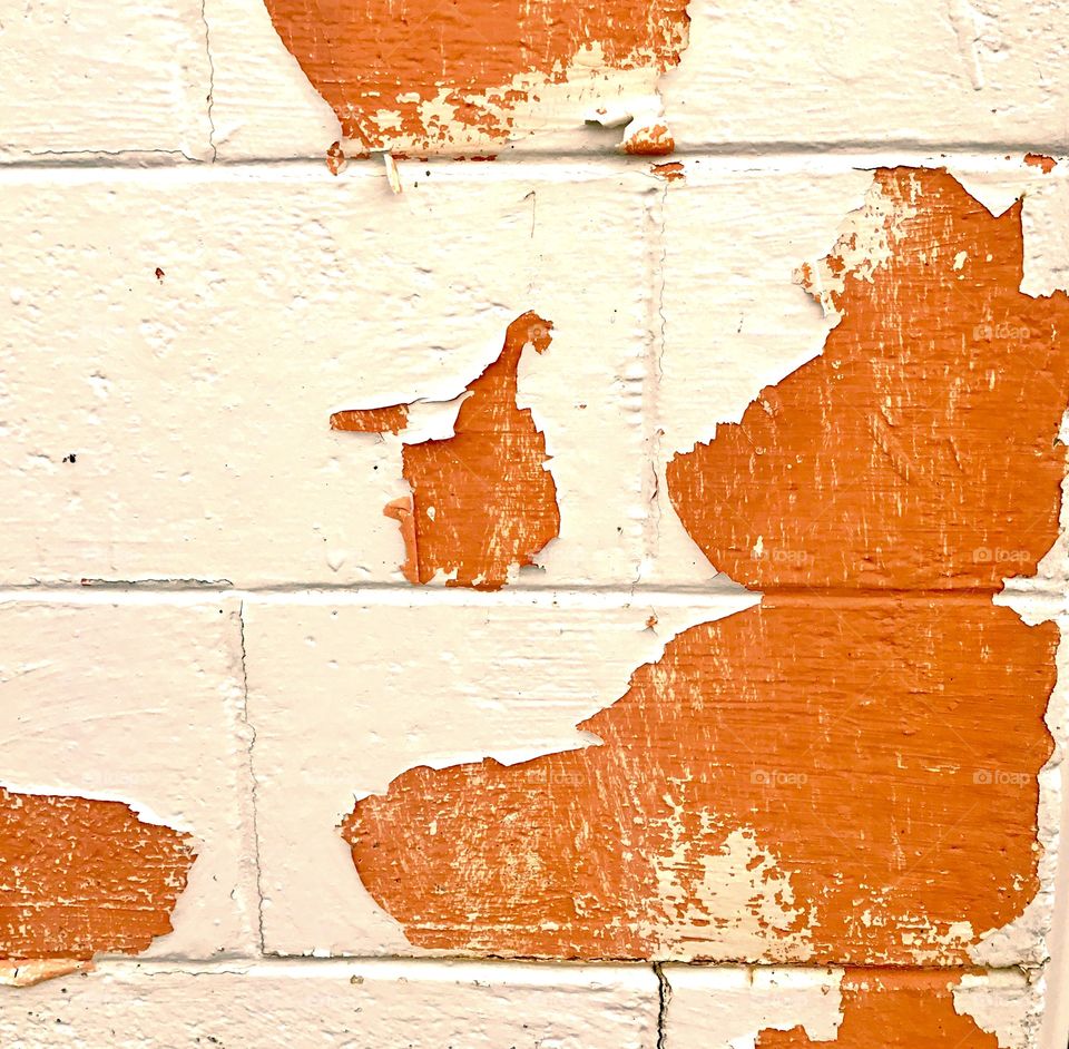 Close-up of peeling wall