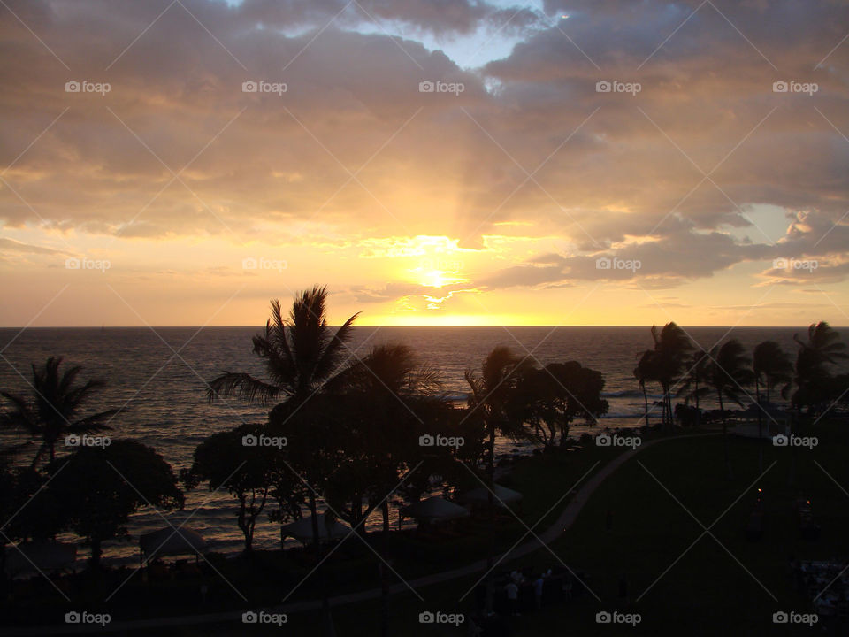 beach ocean sunset palm trees by exworld