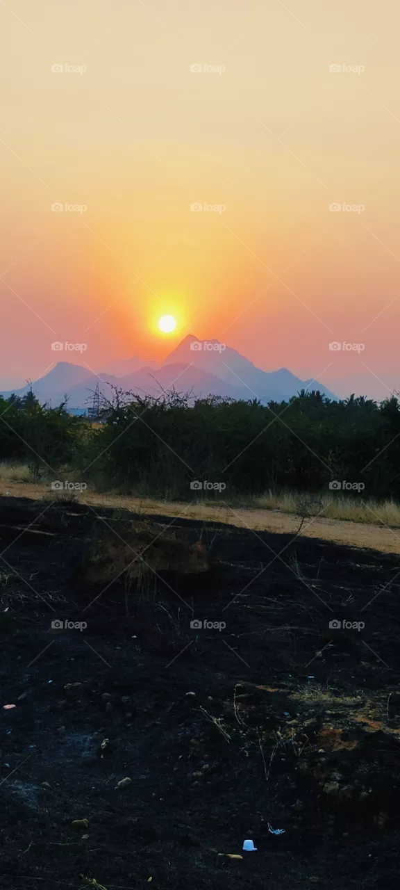 sunset