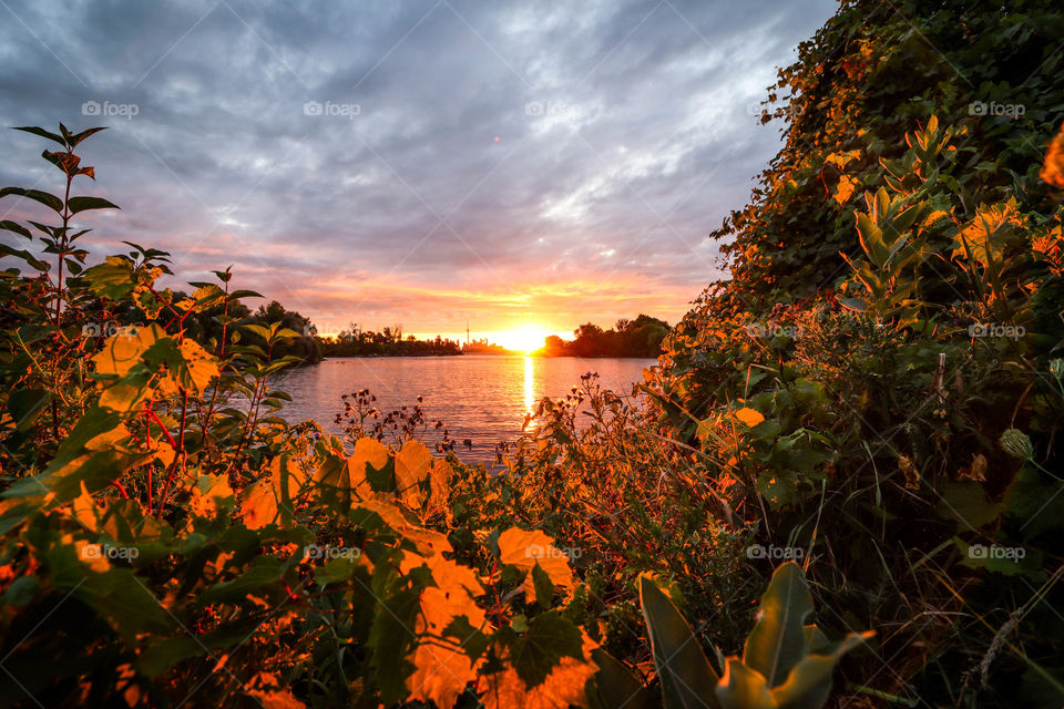 Gorgeous sunrise on the lake