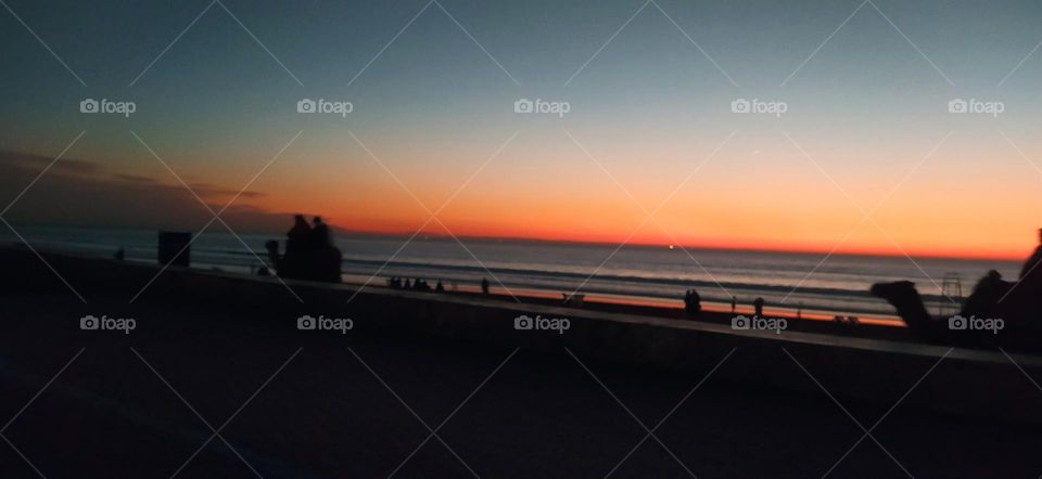 ride camels in the beach