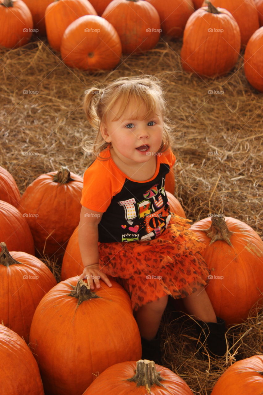 pumpkin fall fun