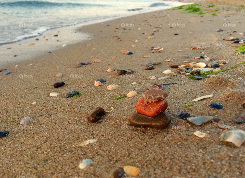 Shells and stones on a beach at sunrise