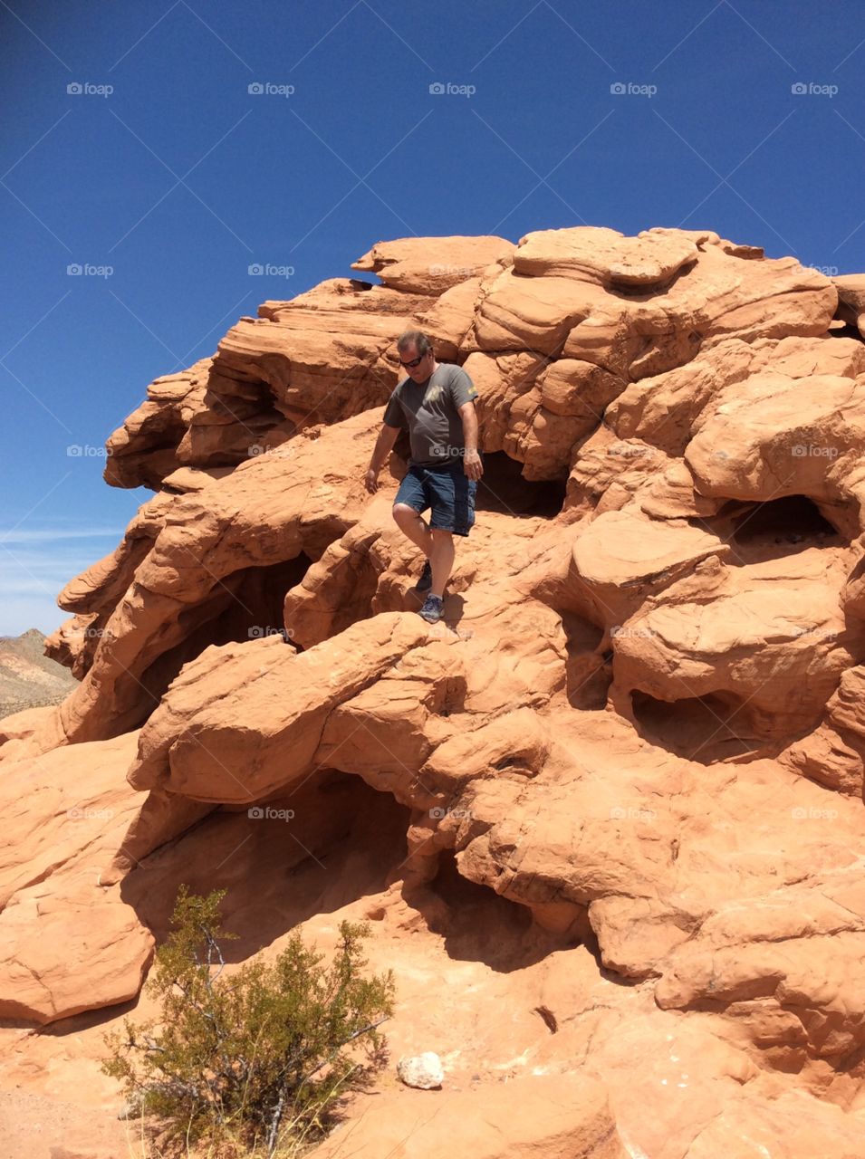 Lake Meade. My husband, son and I found this spot where there is beautiful landscaping