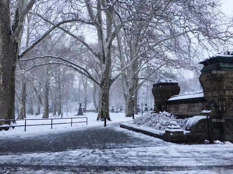Park in a snow day