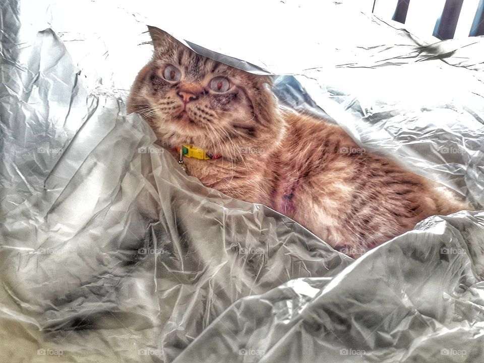 playing with plastic