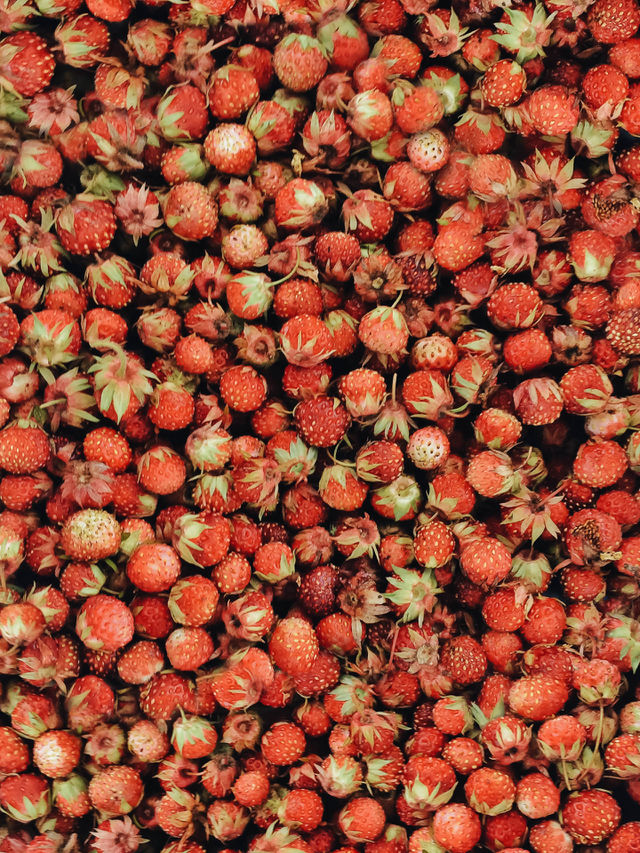 Strawberry. Cottage real strawberries