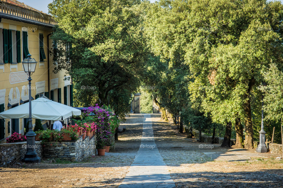 Italian street with a lot of plants