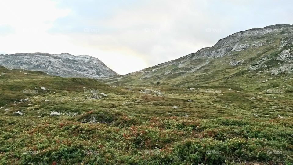 The rough nature in Norway