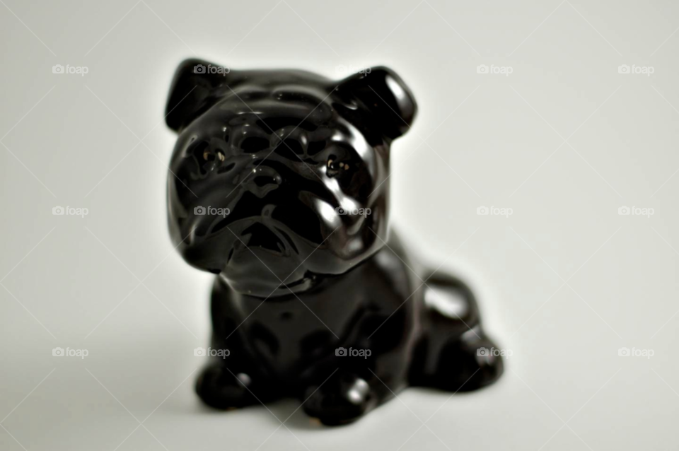 white glass black dog by stephenkirsh