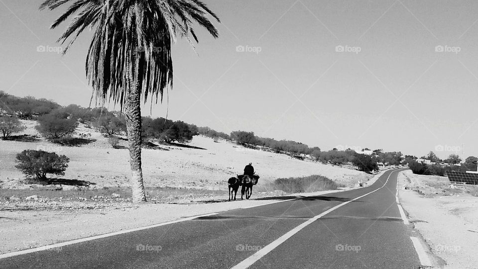 The villager is on his way back to his home after a long, exhausting journey plowing his land. The long road symbolizes the distance he travels every day, as well as the obstacles he faces.