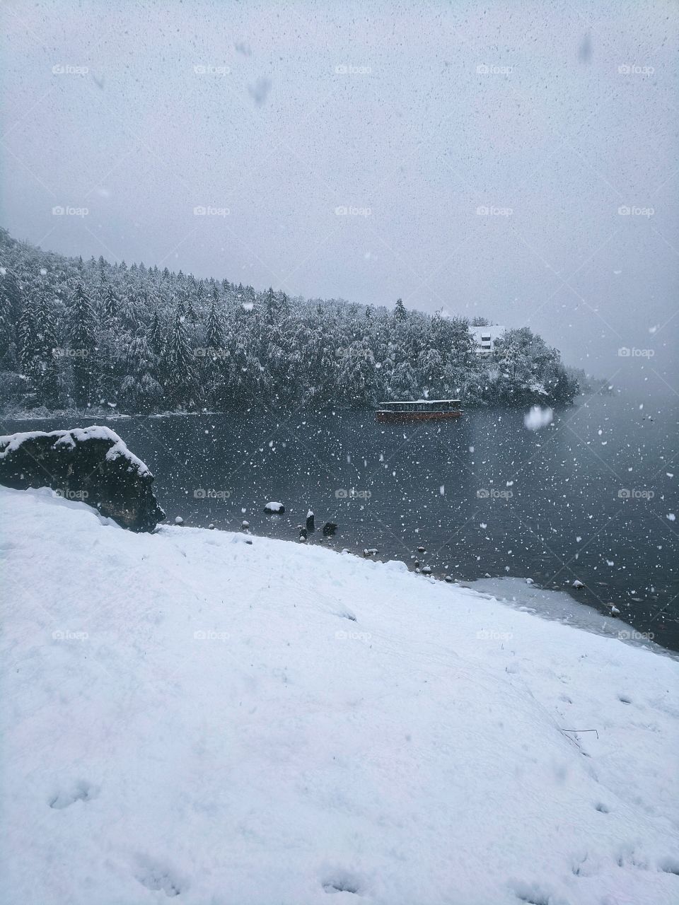 View of snowfall over the river and snow-covered Christmas trees in winter