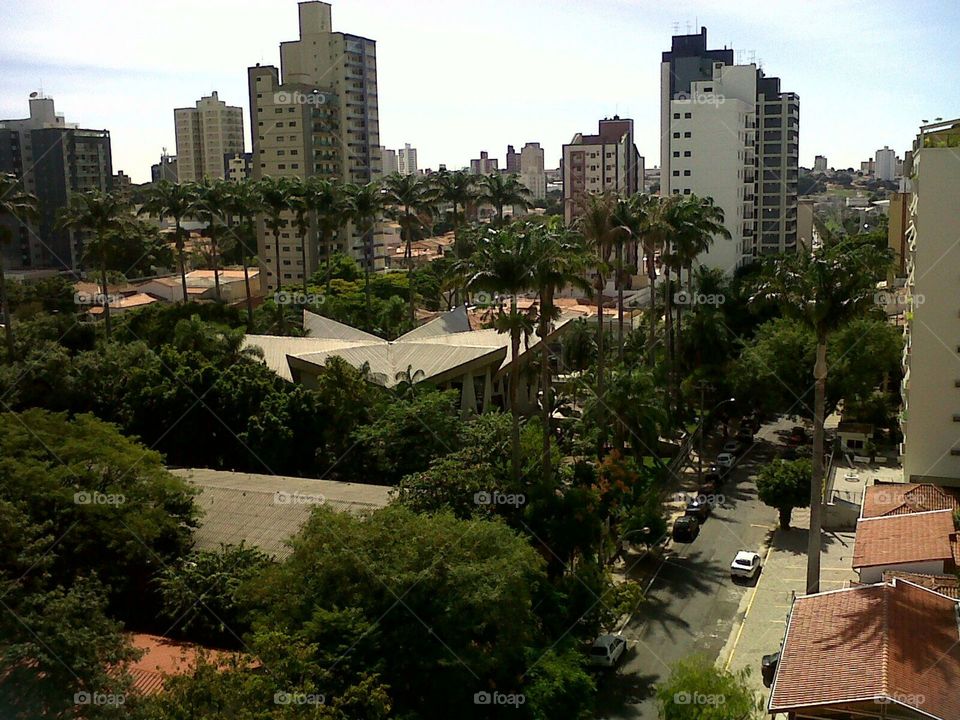 Prédios e arvores em Campinas/SP/Brasil.