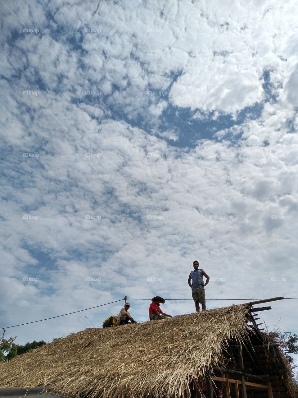 Build Traditional House, Nggela Traditional Village, Flores Island, Indonesia